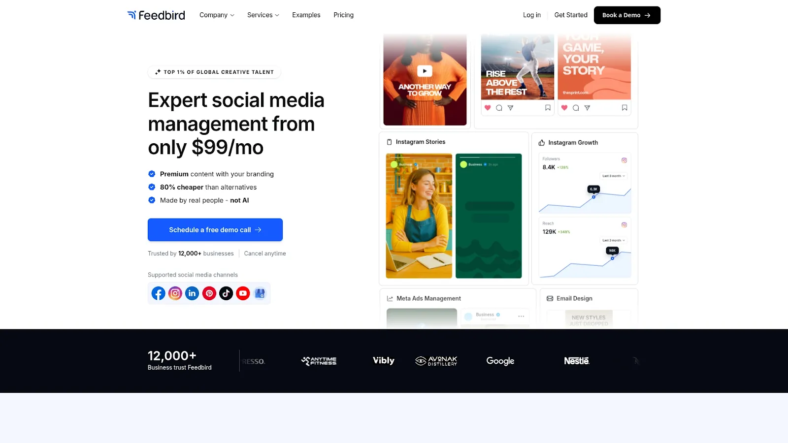 Agency Website Screenshot