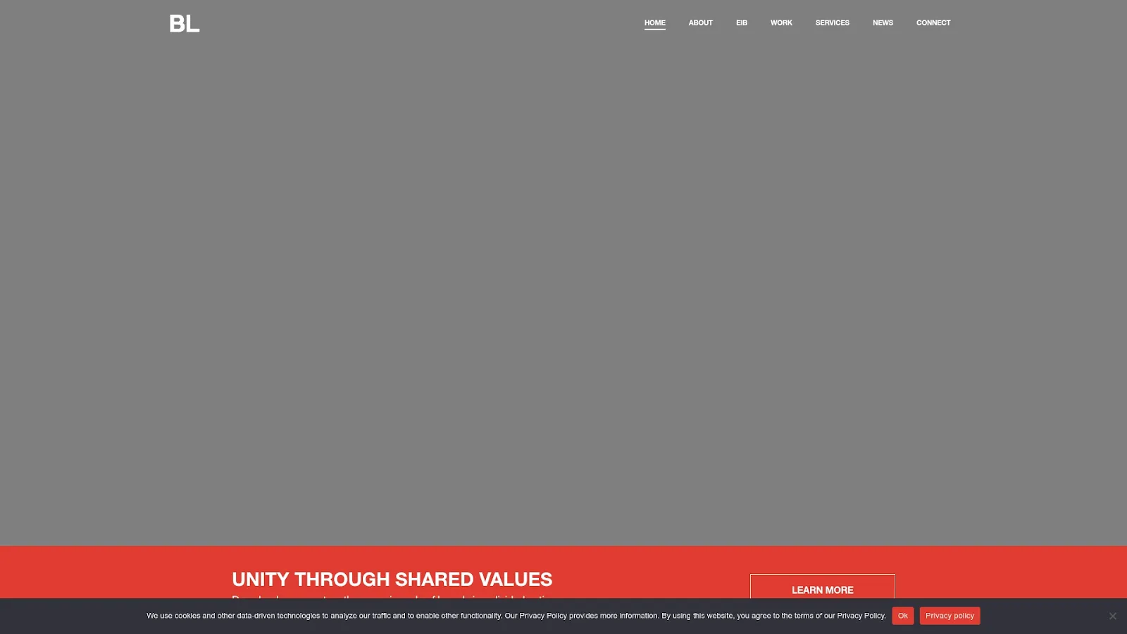 Agency Website Screenshot