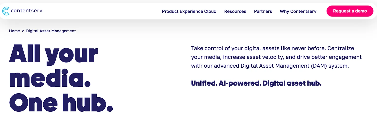 Contentserv’s brand management tool