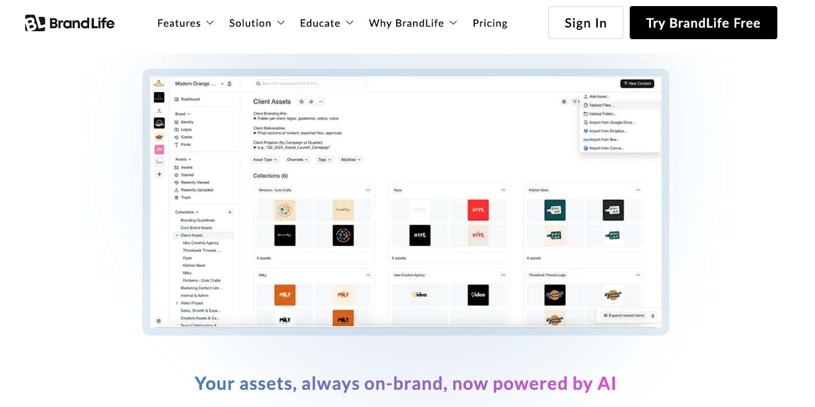 BrandLife’s DAM solution for online brand management services