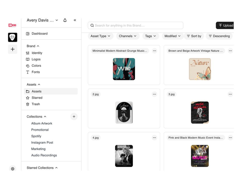BrandLife's robust search functionality with organized collections 