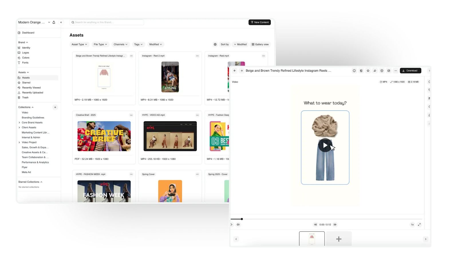 BrandLife's digital asset management software dashboard