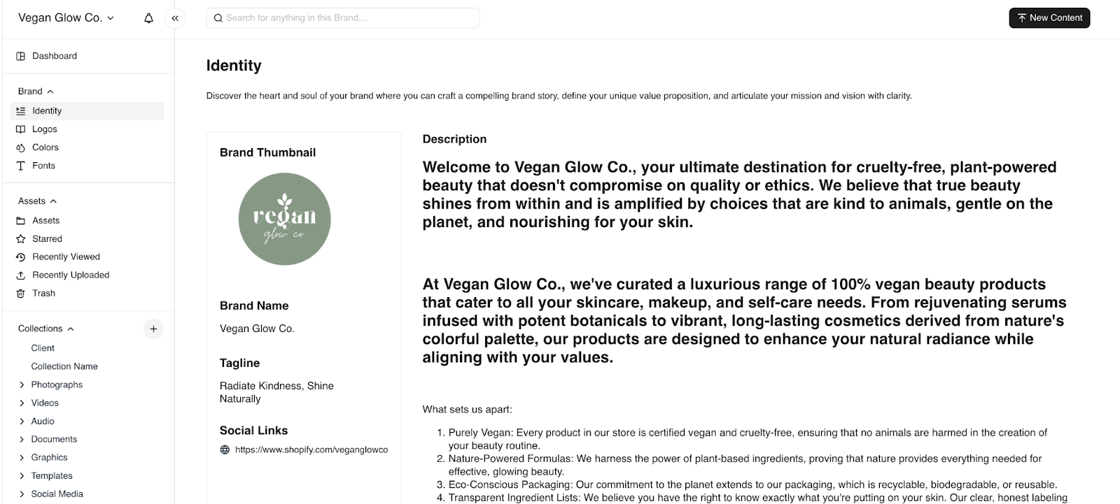 BrandLife's DAM platform