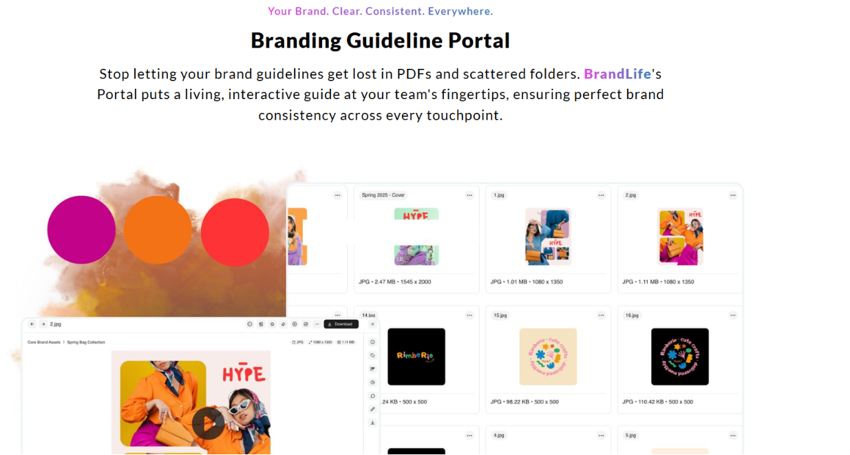 A screenshot of BrandLife's webpage