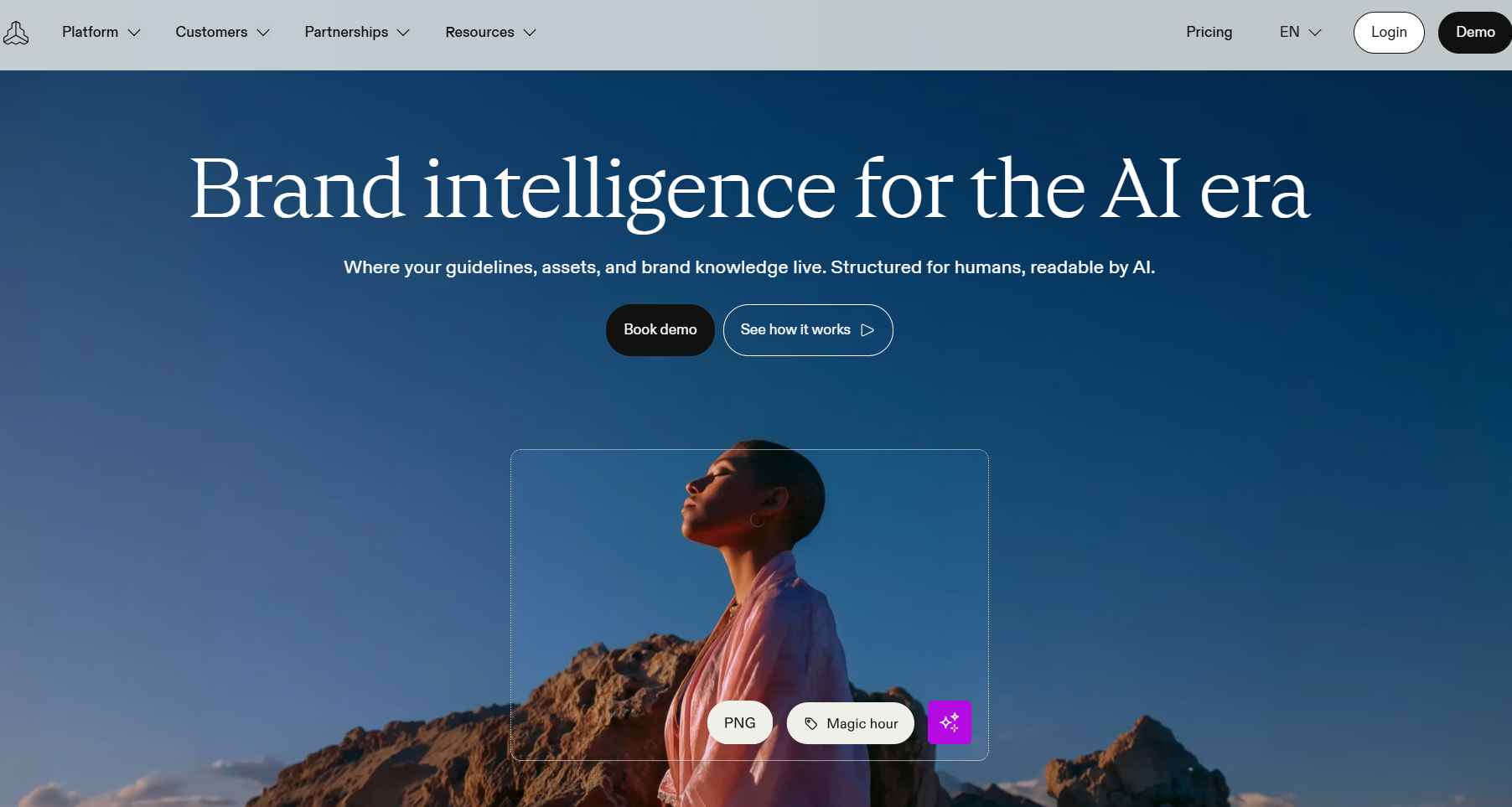 An image showing Frontify’s homepage