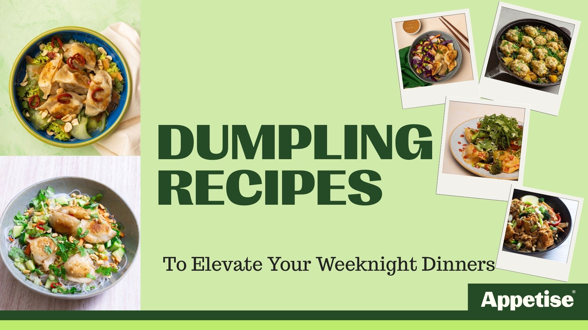 Dumpling Recipes to Elevate Your Weeknight Dinners