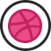 dribble icon