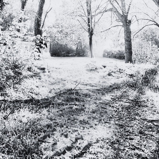 Black and white photo of a leaf-covered path flanked by trees and bushes in a park-like setting.
