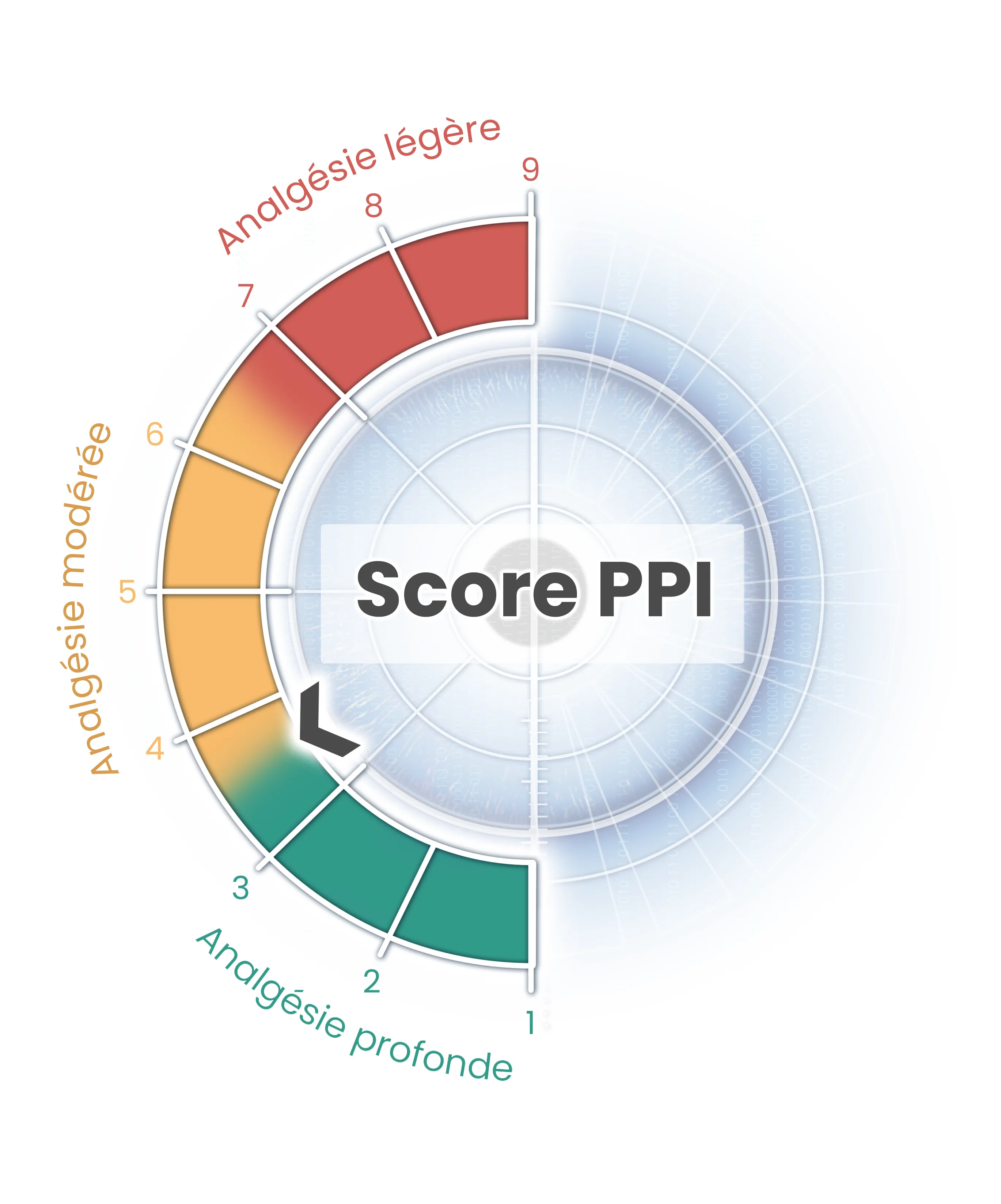 image score ppi