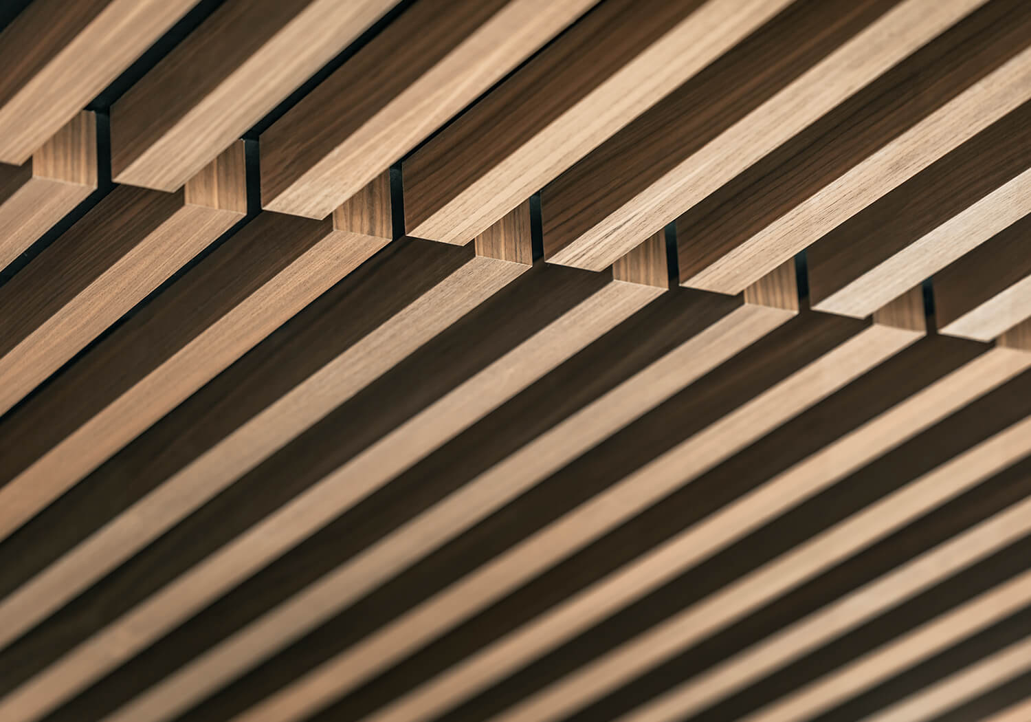 Foto: Thomas Kessler Visuals