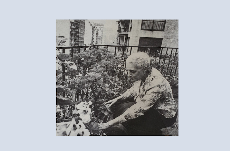  Meditaciones de un “jardín interior del que nadie está privado”: budismo, feminismo y ecología en Alicia Jurado. Primera parte