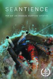 Seantience | Un Documental sobre la sintiencia de los animales acuáticos