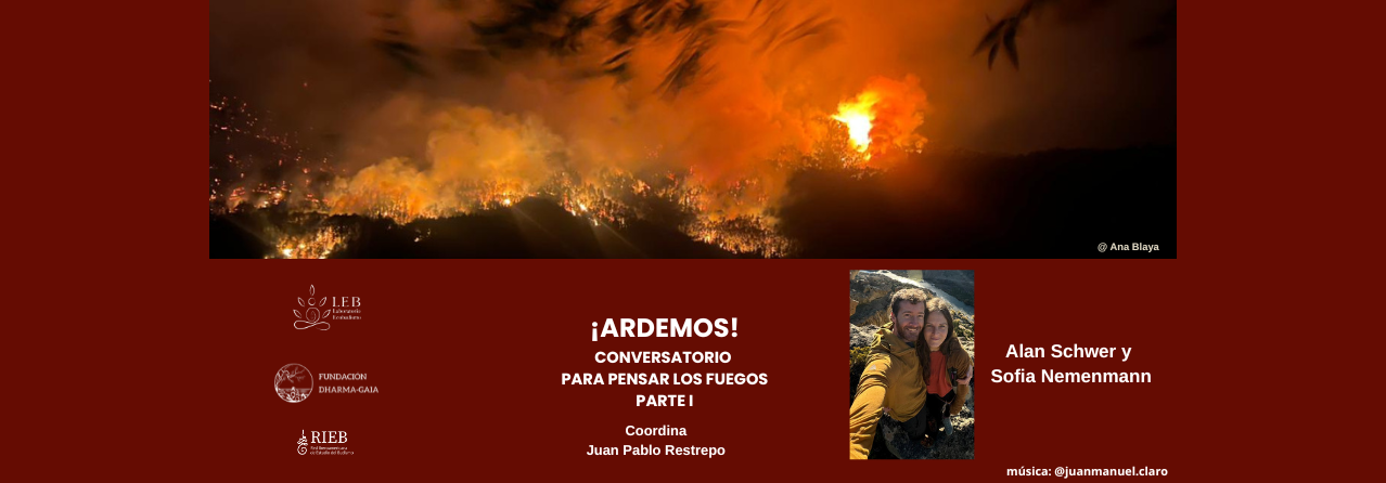 VII Conversatorio LEB: ¡Ardemos! Conversatorio para pensar los fuegos