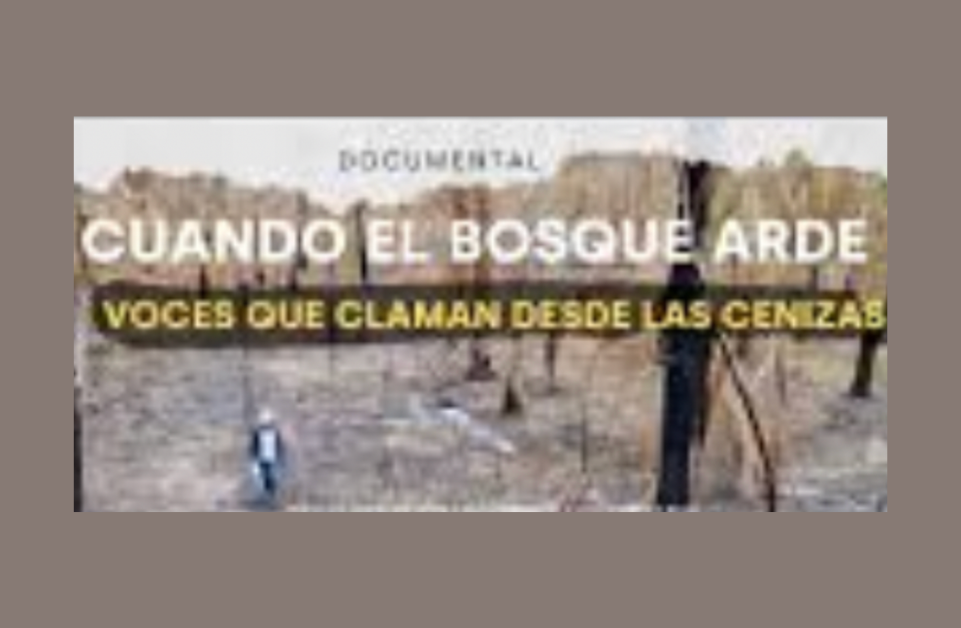 Cuando el bosque arde: Voces que claman desde las cenizas