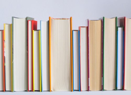 Bild mit Büchern. Karolin Leyendecker. Lektorat