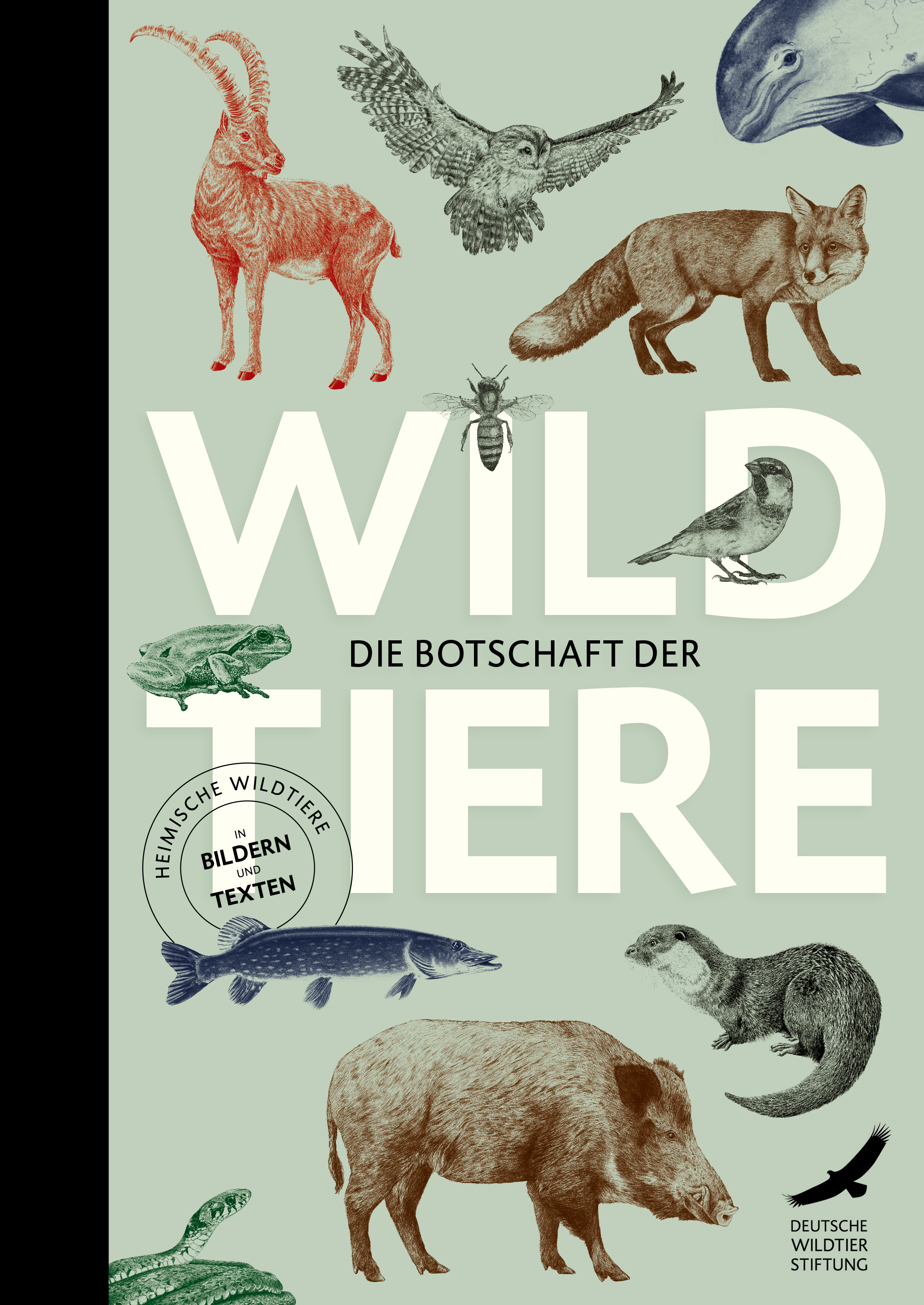 Botschaft der Wildtiere 978-3-96849-131-8 Karolin Leyendecker 