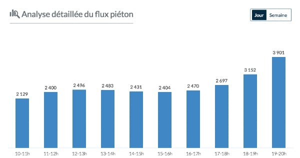 Analyse détaillé flux piéton