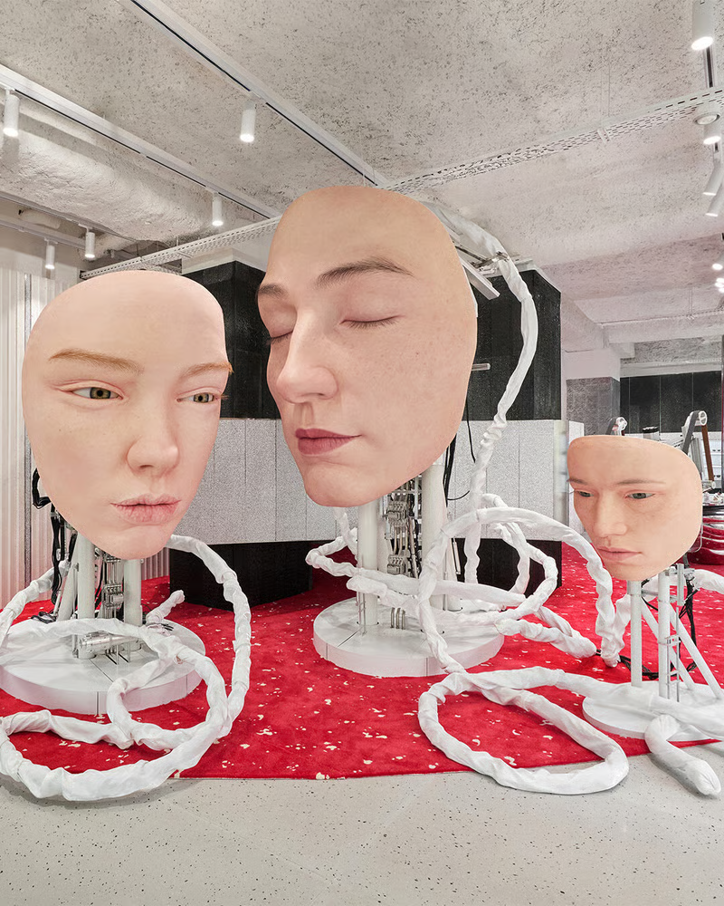 Entrance of the Gentle Monster parisian Flagship | MyTraffic Analysis