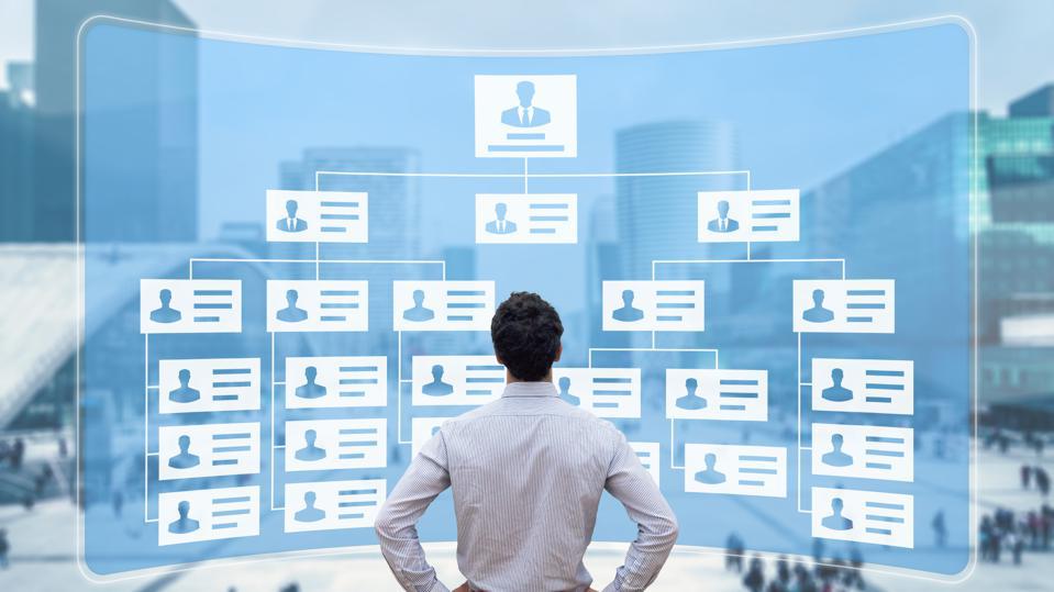 Organizational Structure 