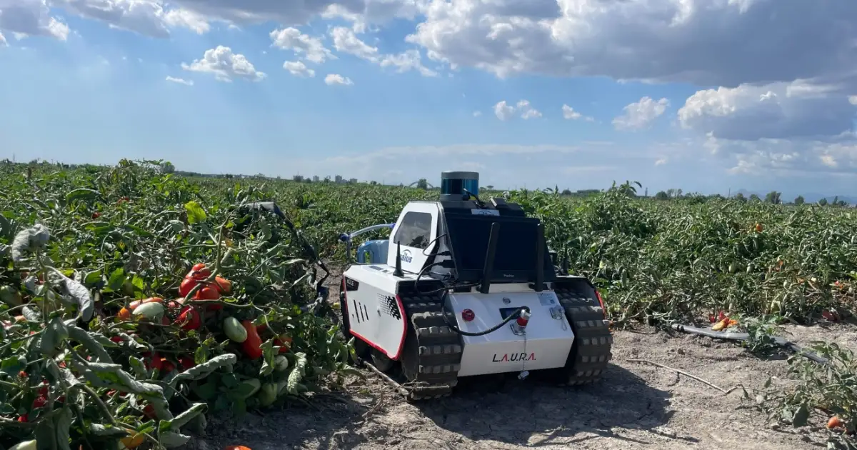 a robot in action in a crop field