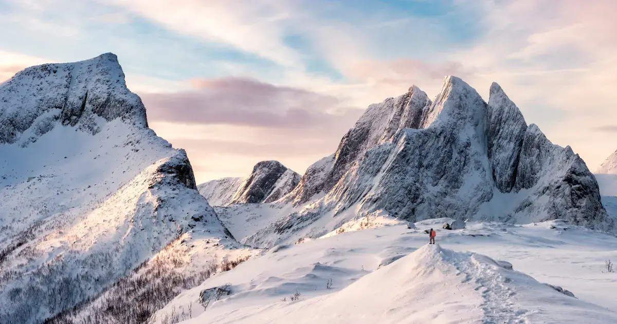 Mountain ecosystem overview