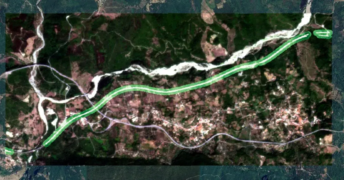 Tree Heights Estimation Layer