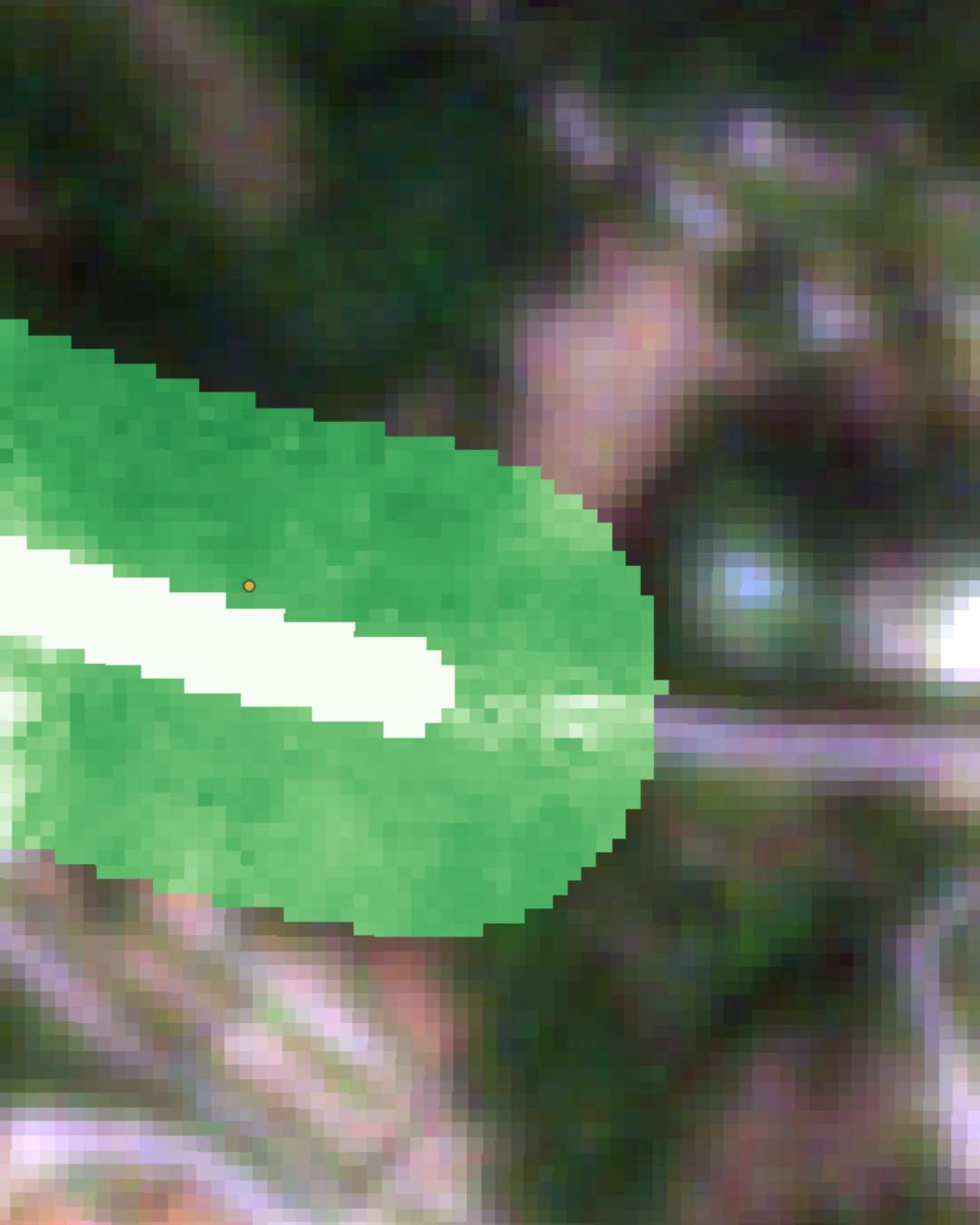 Latitudo 40's Tree Height Estimation layer applied for mobility safety