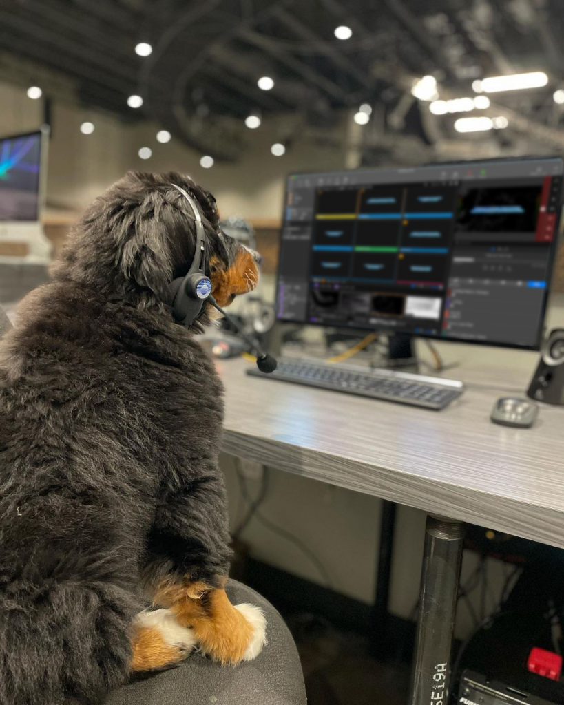 Dog sitting at computer wearing a headset while using ProPresenter