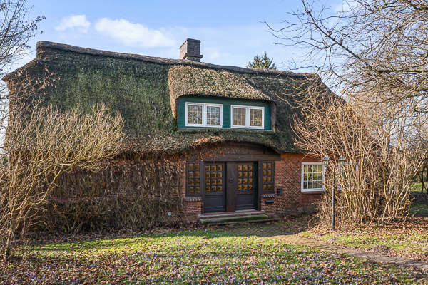 "Einfamilienhaus aus Reet in Oldendorf | RAHMANN Immobilien"