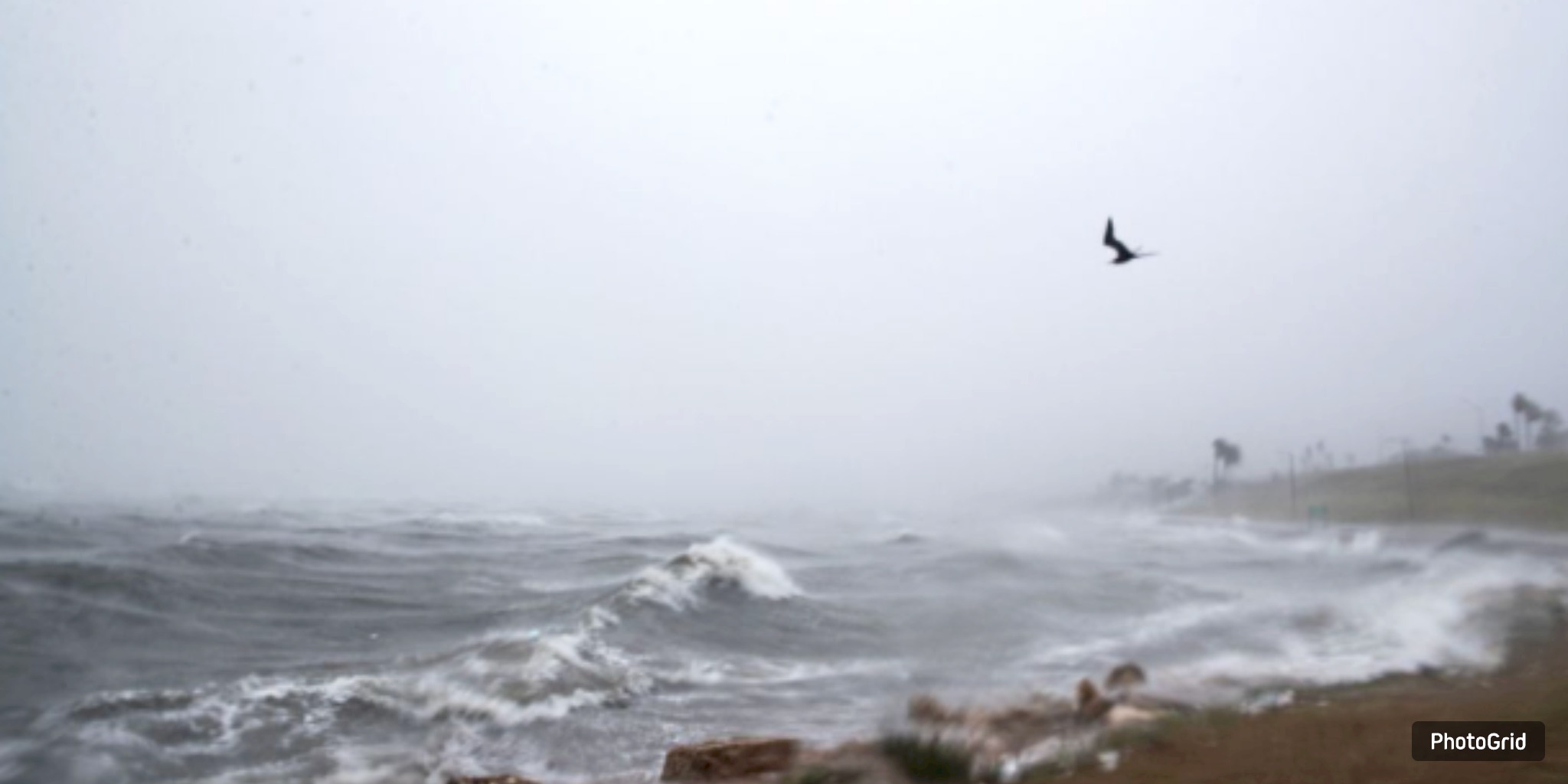  Storms to Soak Texas Beaches Friday Before Weekend Conditions Improve
