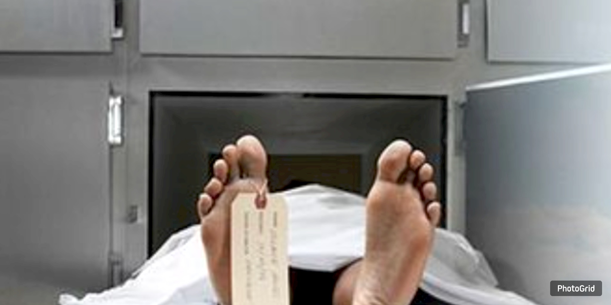 Carnival Cruise Death Prompts Scrutiny of Onboard Morgue Protocols
