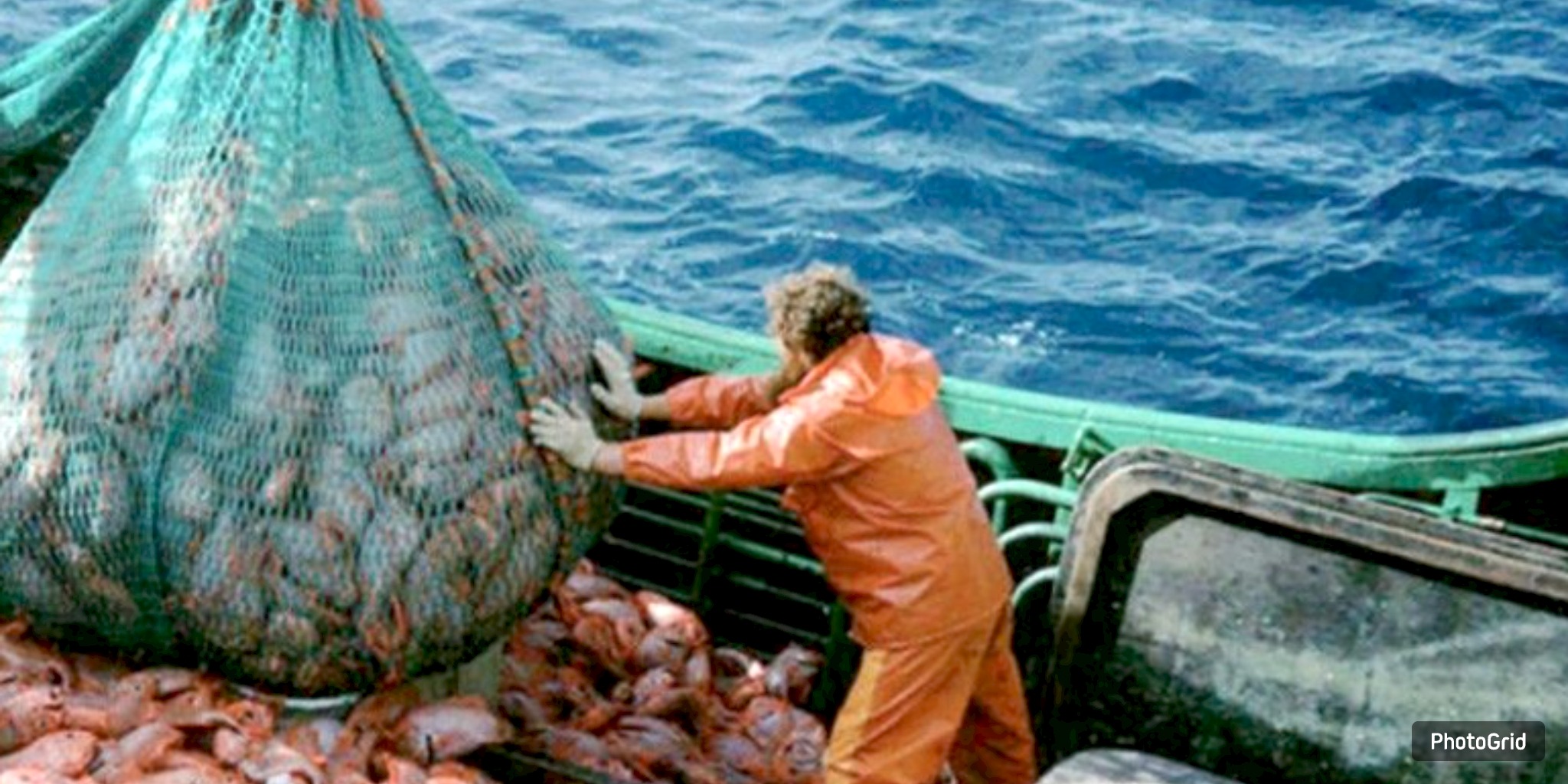 ‘We’re Seeing Less Fish’: Gulf Coast Industry Pushes Back on Trump Seafood Order