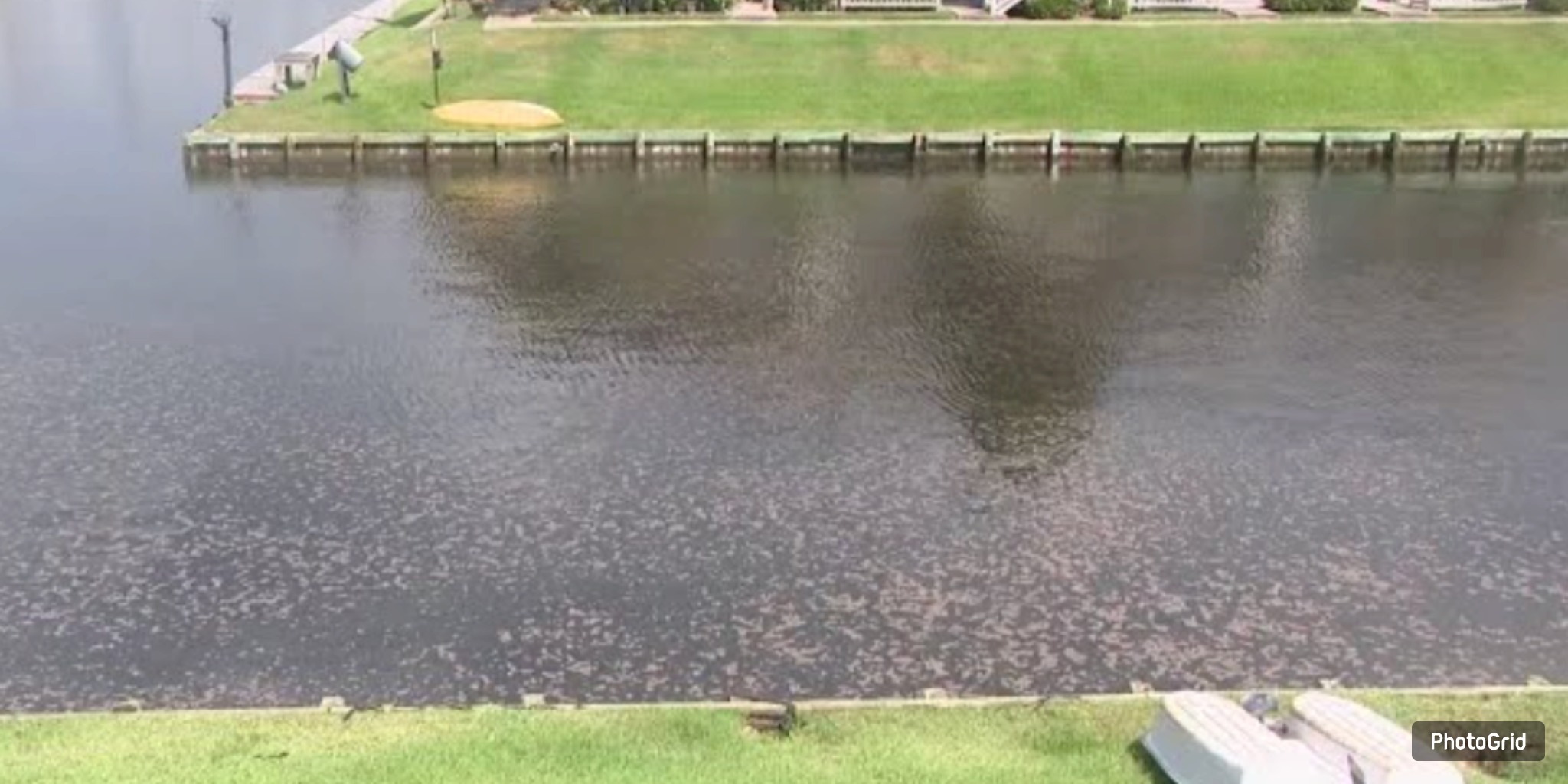 ‘Yucky Looking Stuff’: Galveston Residents Alarmed After Sewage Overflow Near Moody Gardens