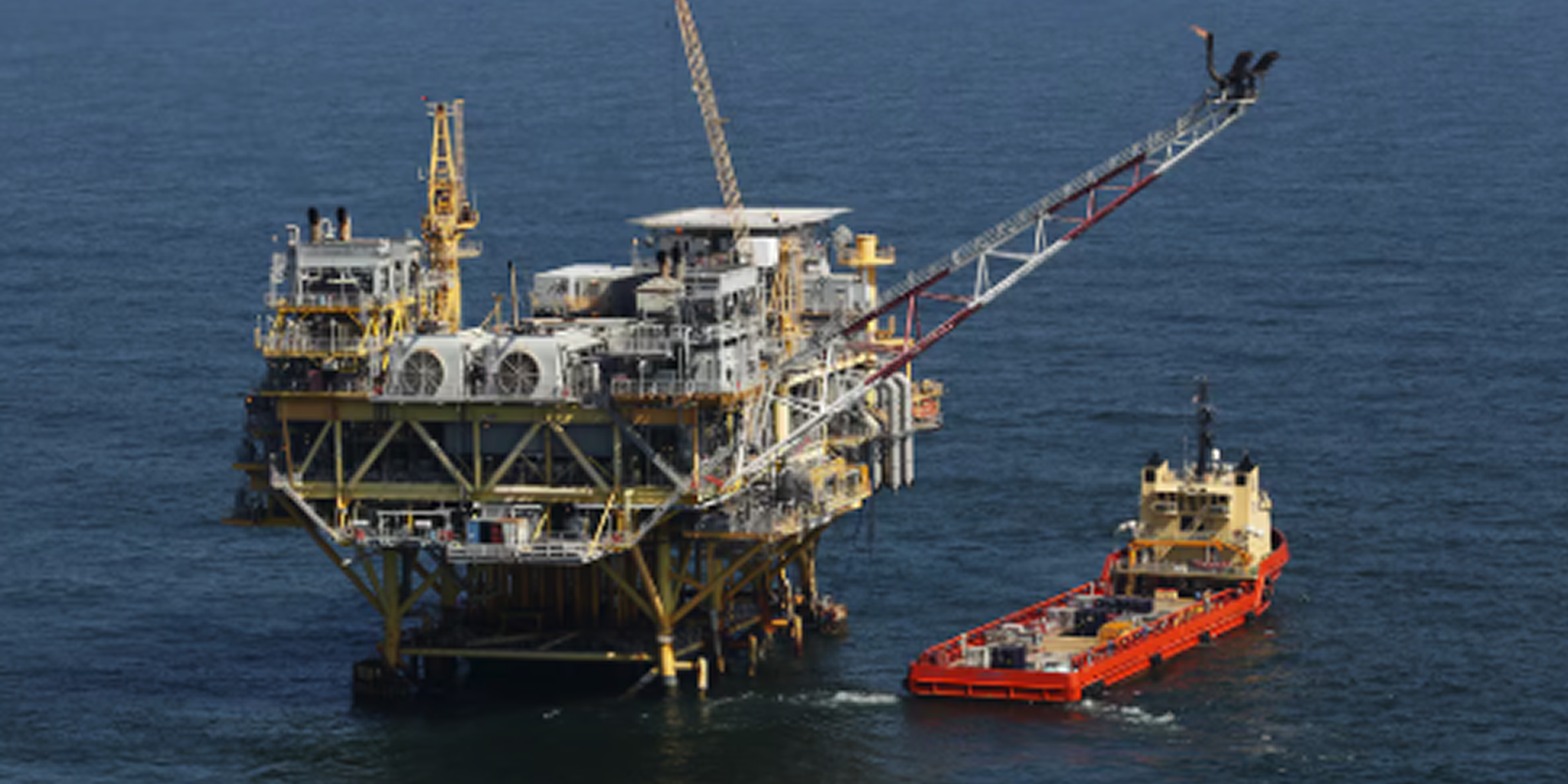 Concerns grow over federal meeting on Gulf oil and endangered species