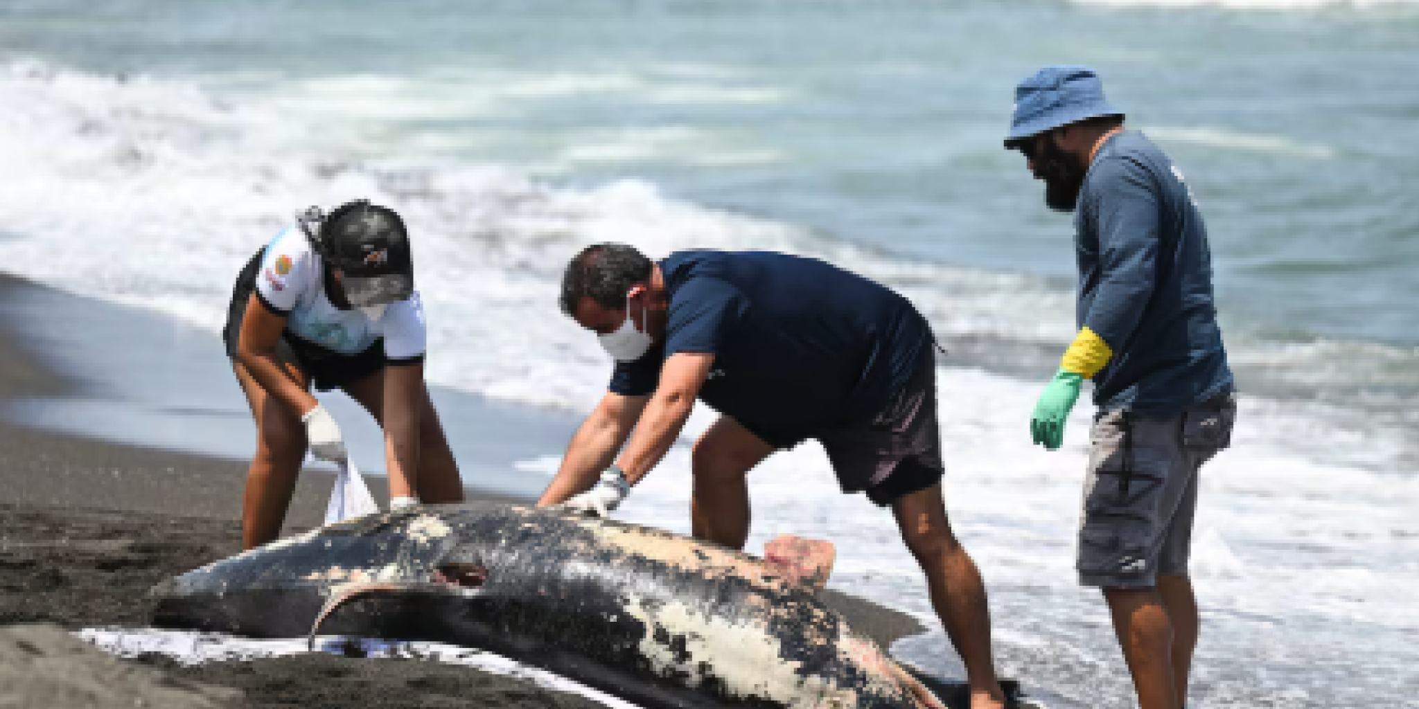 Oil Spills on Mexico’s Gulf Coast Raise Concerns Along Texas Shores