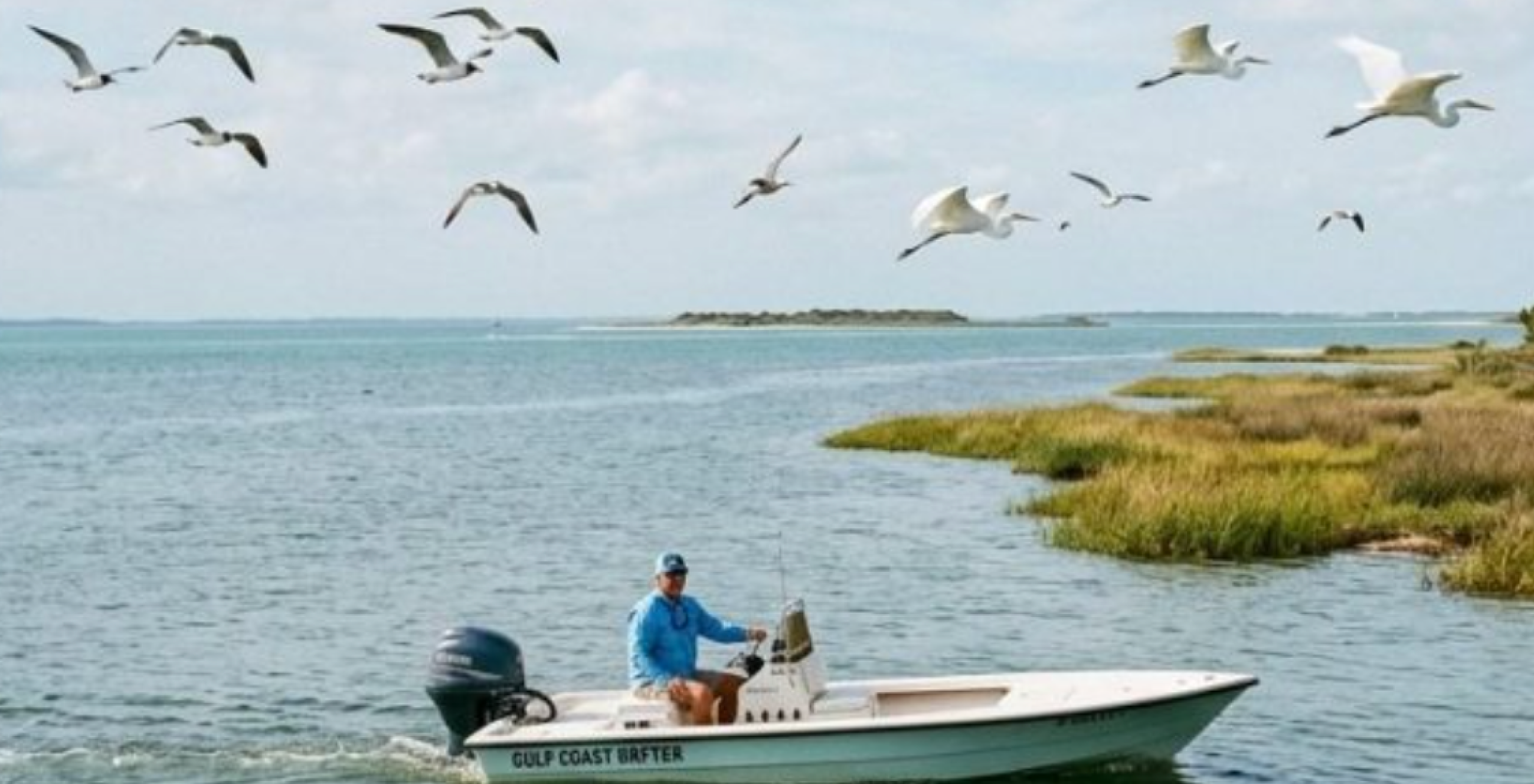 Texas urges boaters to protect nesting coastal birds