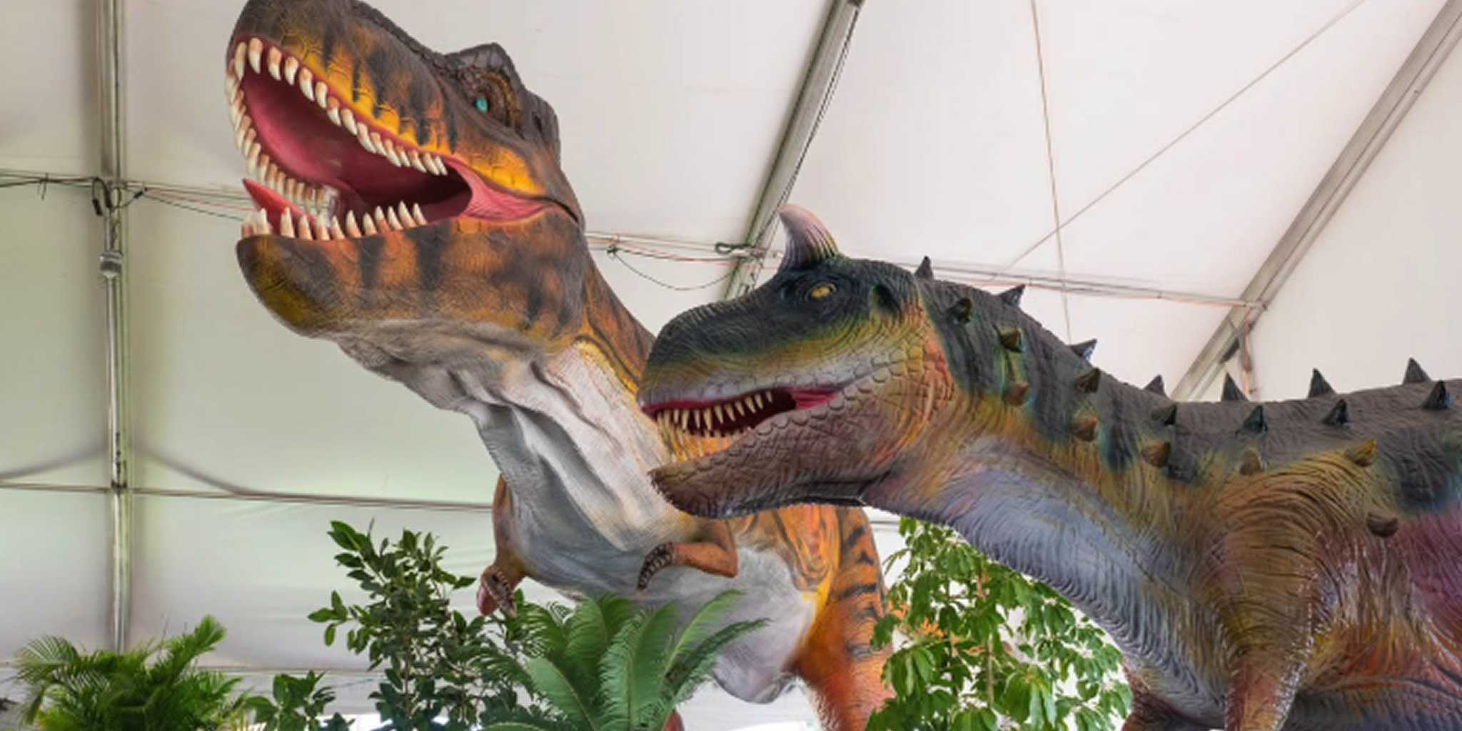 “Dinos Alive” brings animatronic giants to Galveston
