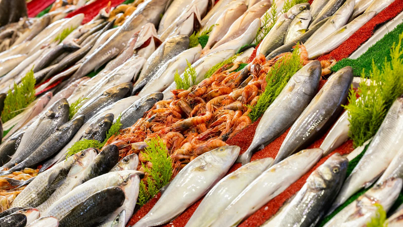 Study finds Gulf shrimp revenue plunged 55% as imports dominate market