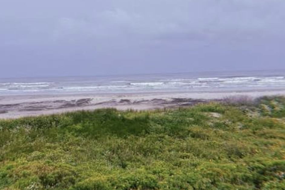 Galveston braces for heavy rain as tropical system nears