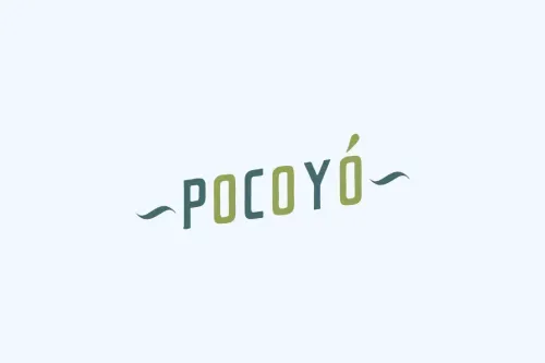 First Pocoyo Logotype - 2002