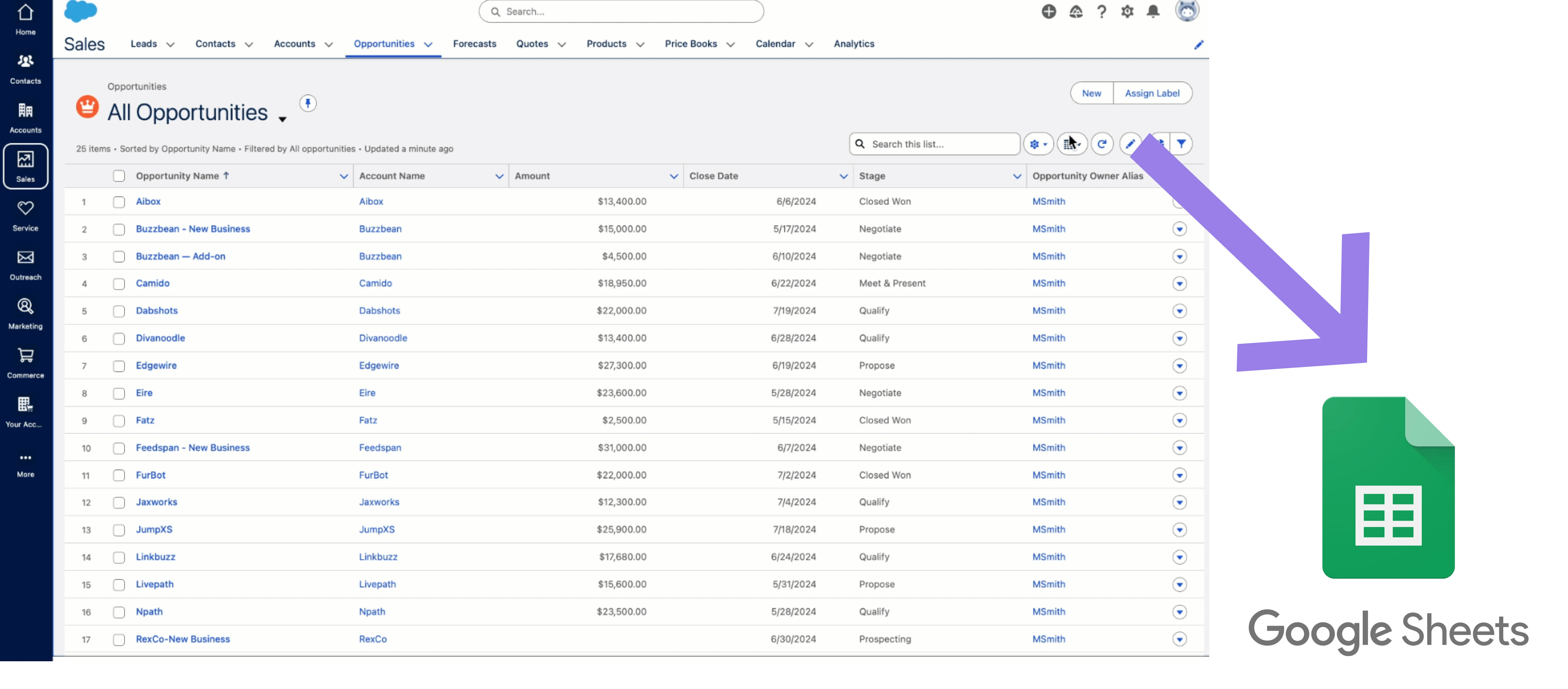 Copy all Salesforce opportunities to Google Sheets