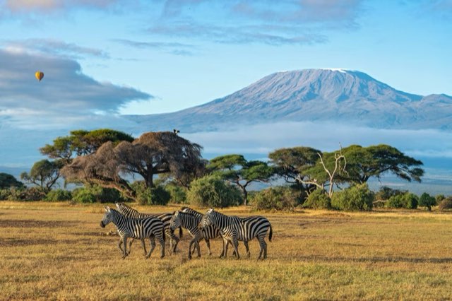 Kenia - Safari Clásico