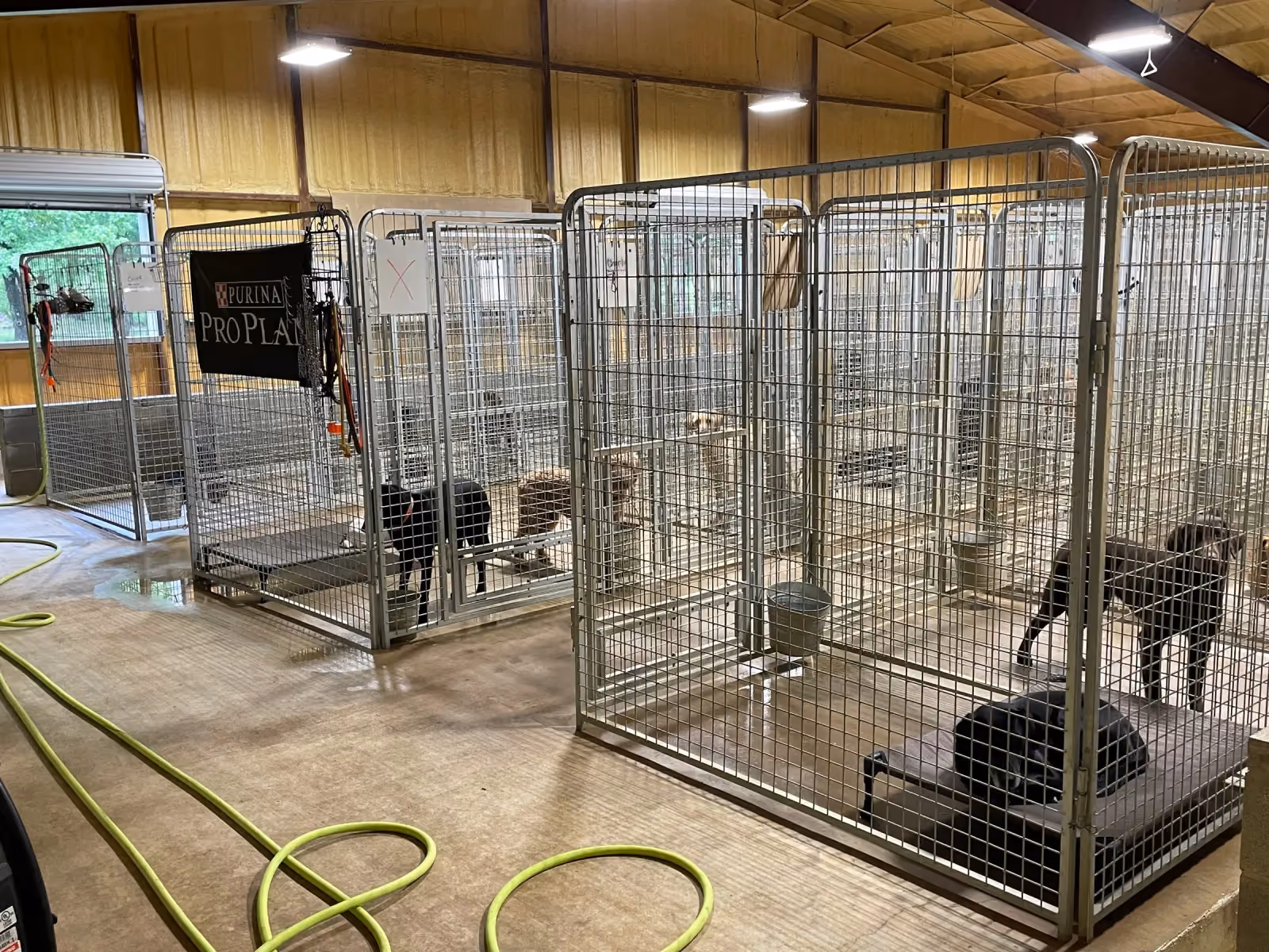 The interior of the kennel facility