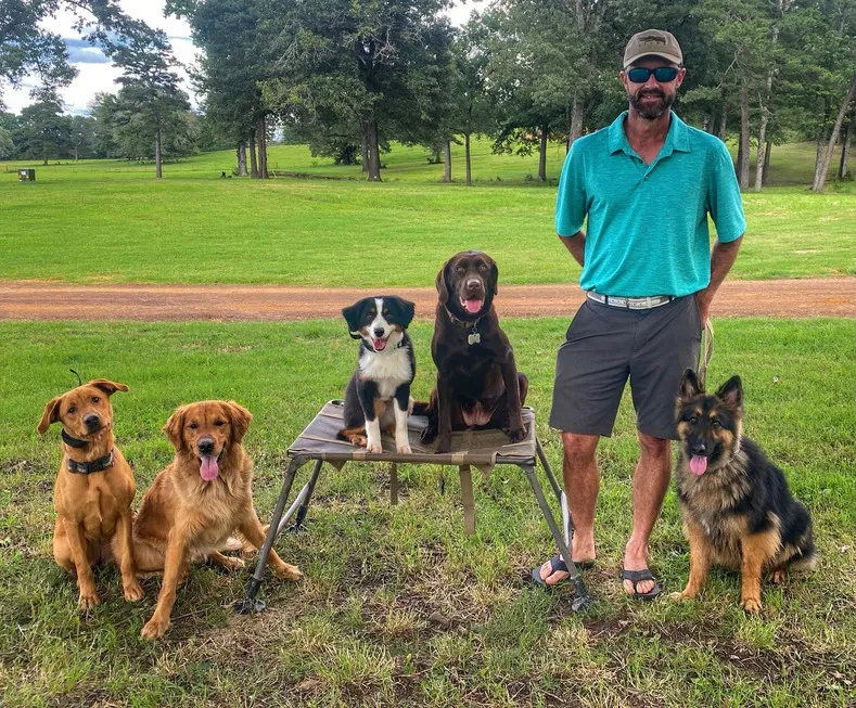 A man stands with his dogs in front of a green field.