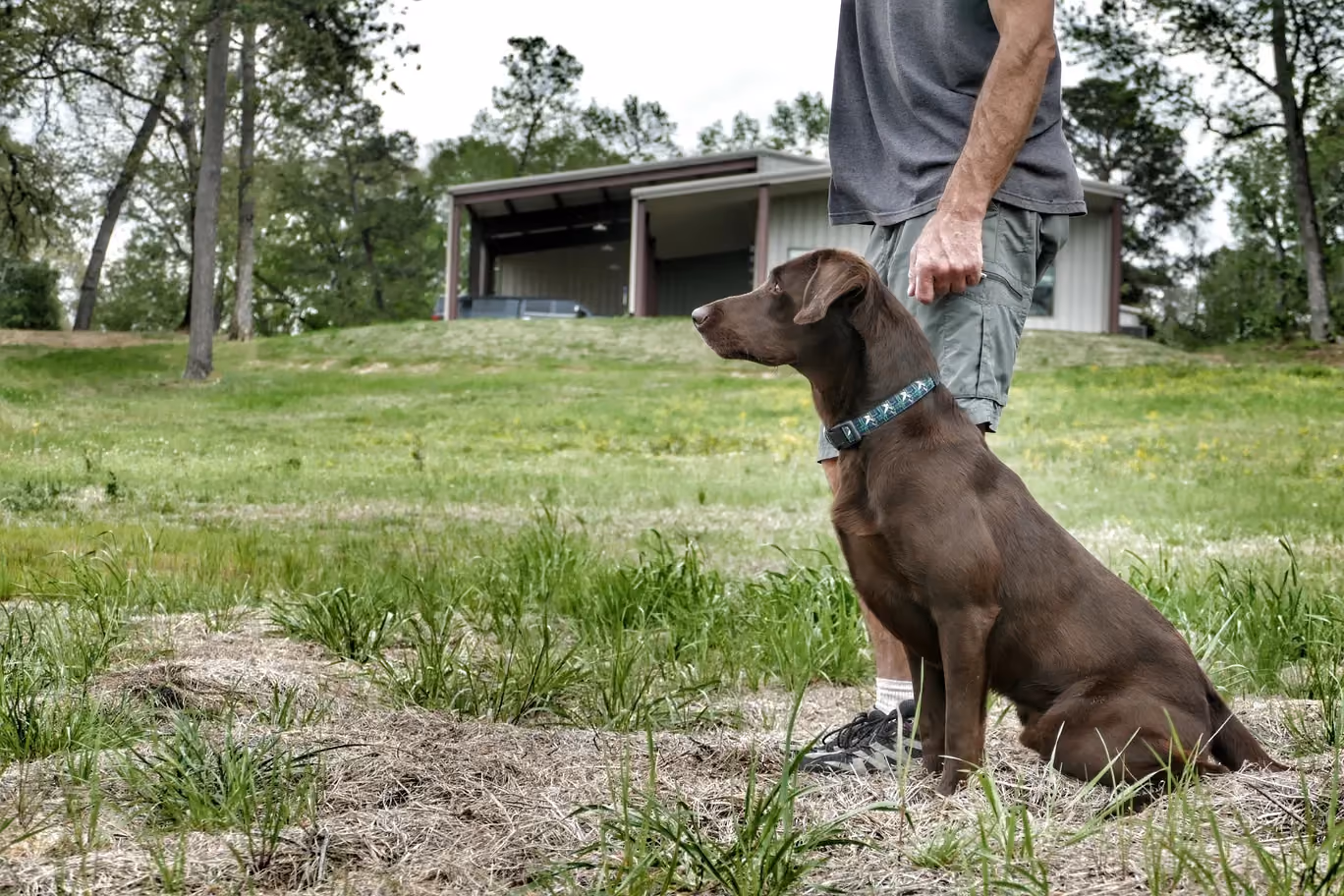 dog sitting in a field on a leash next to owner