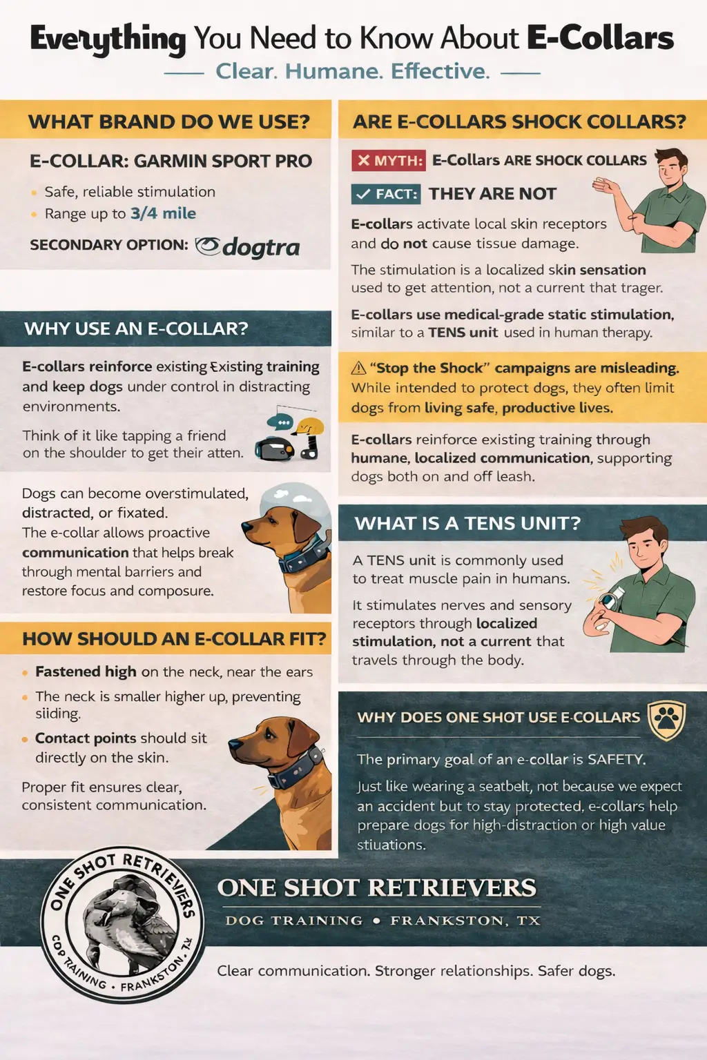 dog boarding and training near me 