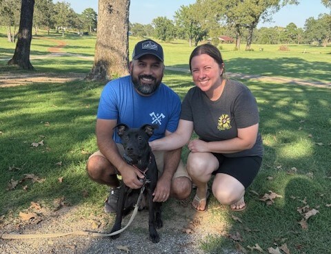 Should Every Dog Know How to Heel?