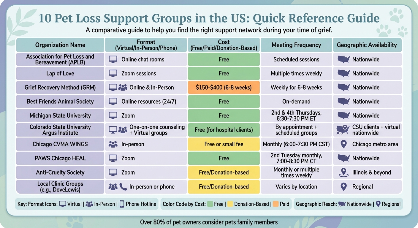 10 Pet Loss Support Groups Comparison: Format, Cost, and Accessibility