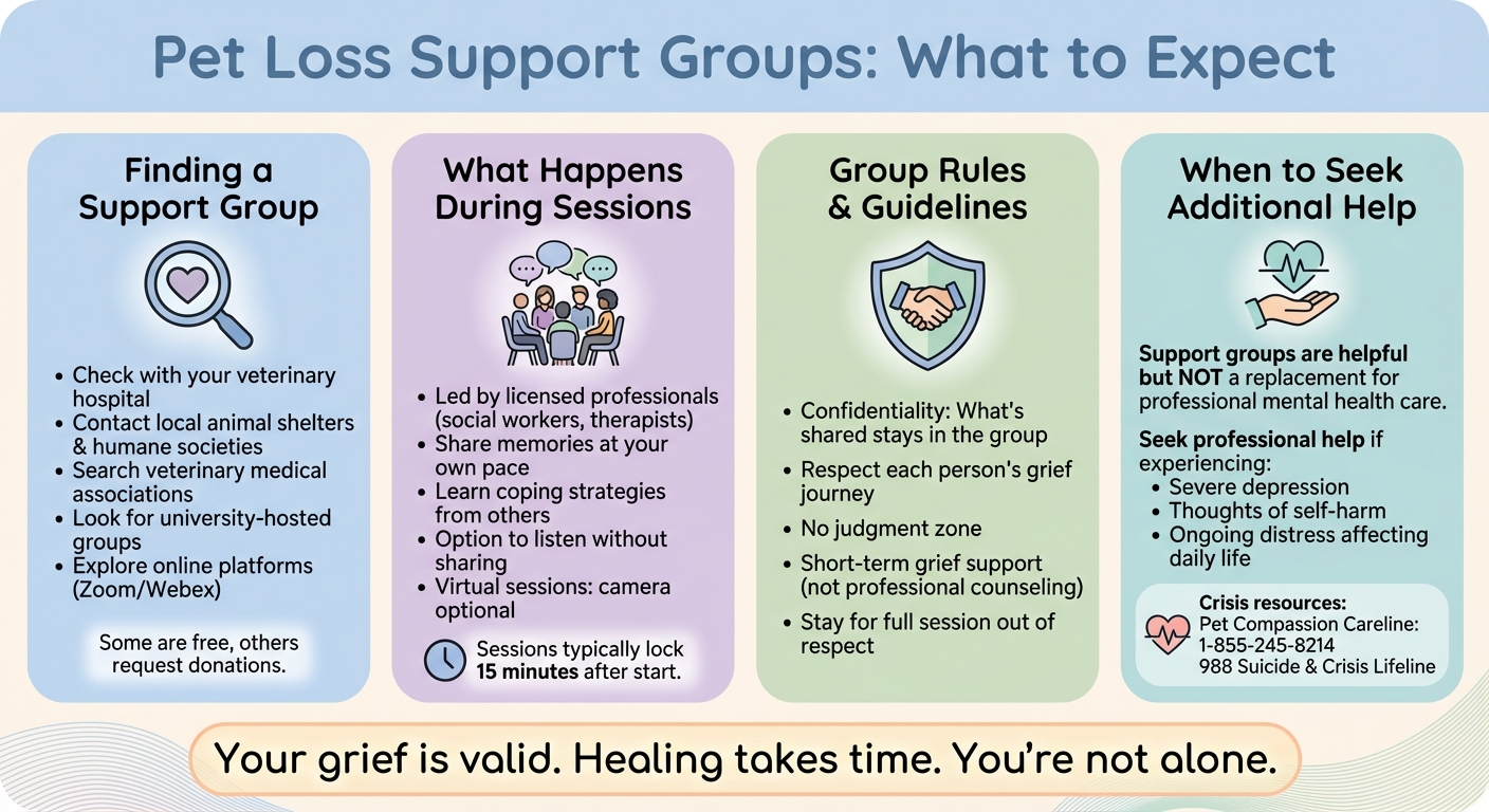 How to Join and Participate in Pet Loss Support Groups