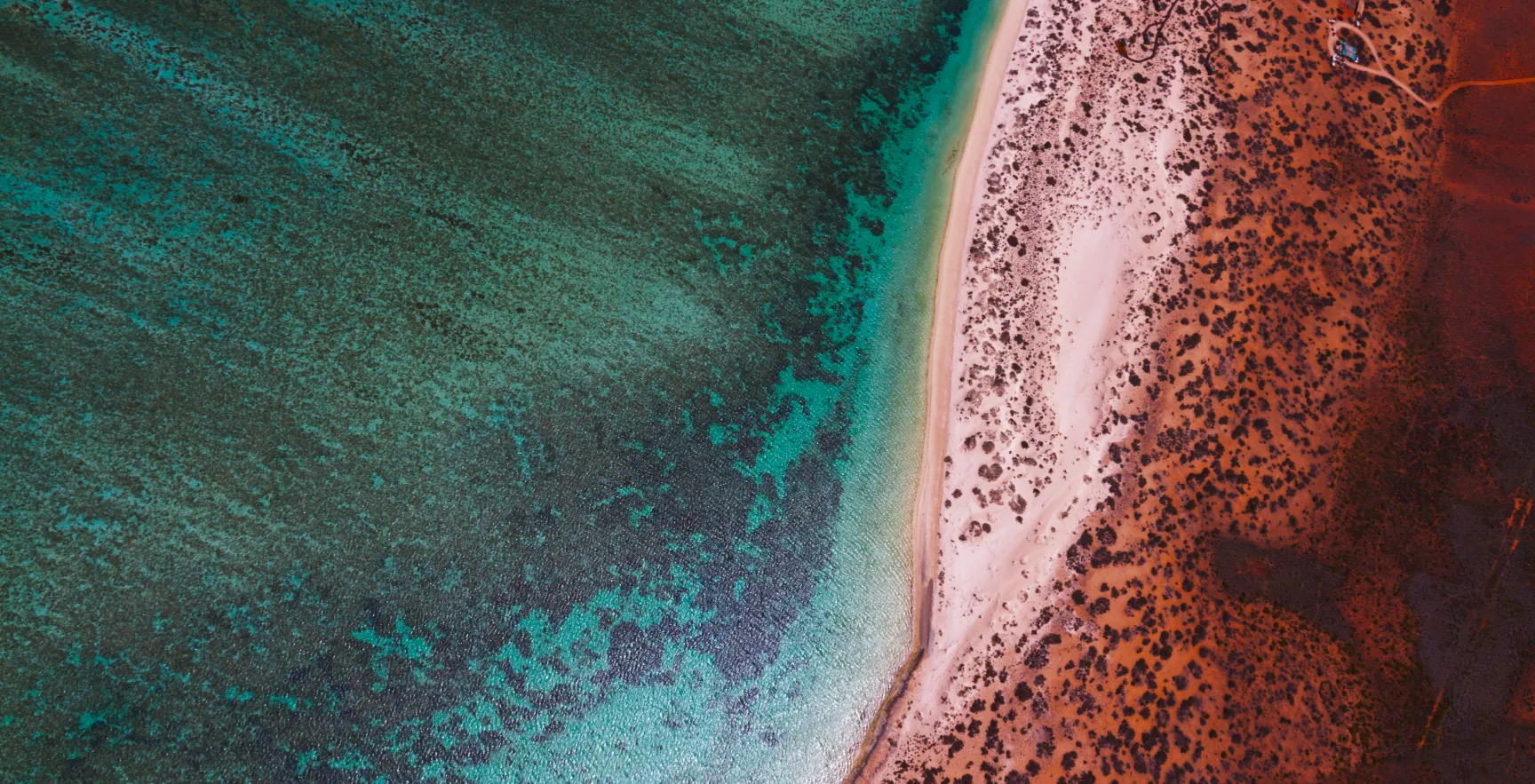Ocean